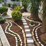 Machi *
