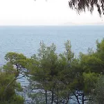 Machi Daire Patitiri