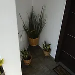 Machi *