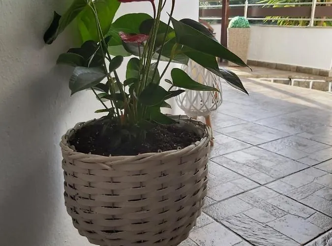 Machi Patitiri (Alonnisos)